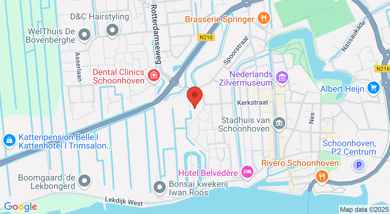 GoogleMap